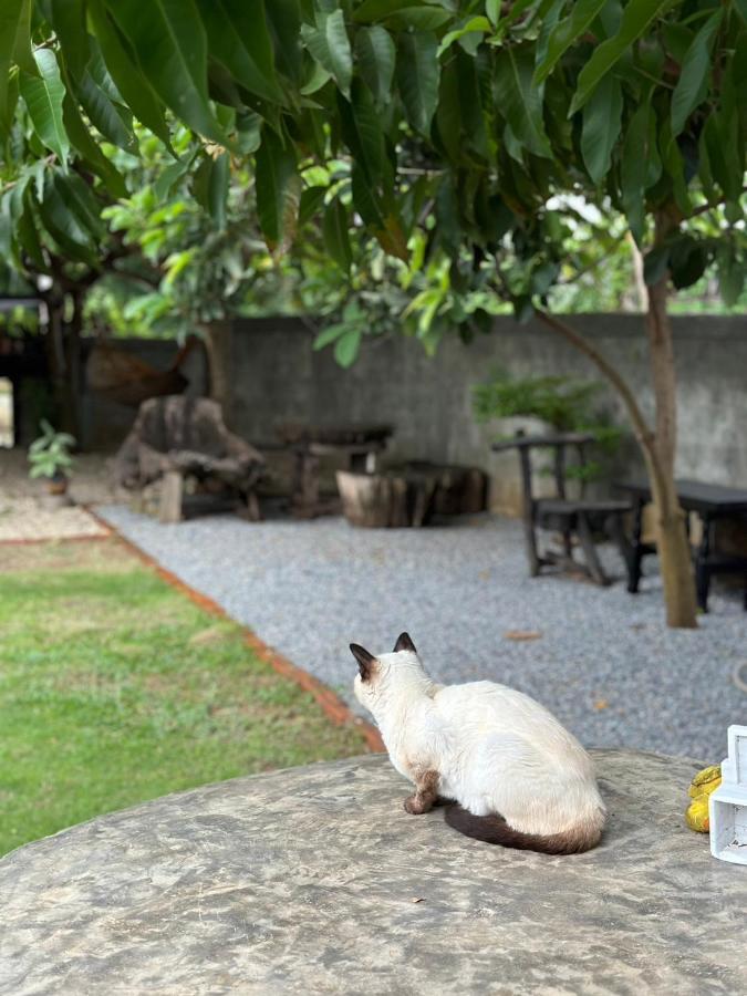 The Legend Homestay. Mae Ai Екстериор снимка